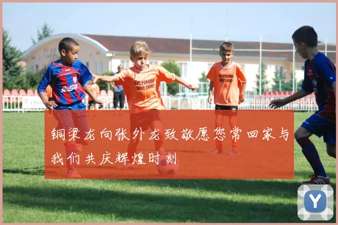 铜梁龙向张外龙致敬愿您常回家与我们共庆辉煌时刻