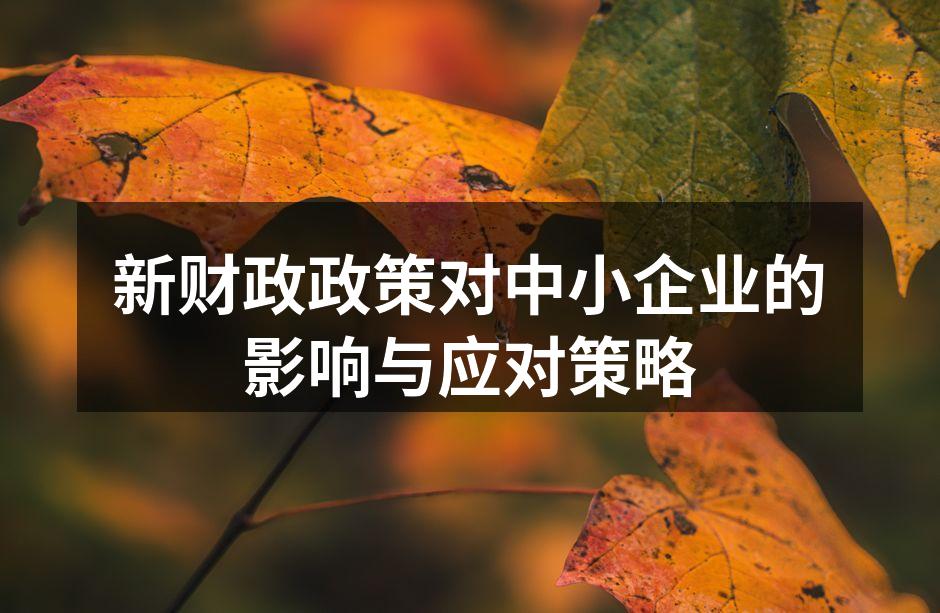 新财政政策对中小企业的影响与应对策略