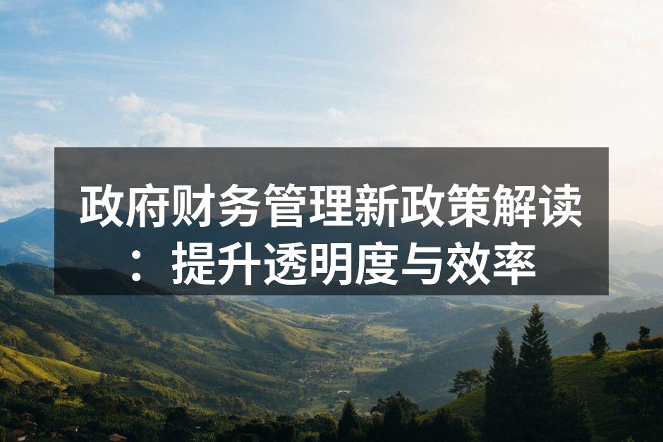 政府财务管理新政策解读：提升透明度与效率